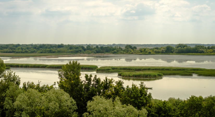 Súlyos jóslat érkezett arról, mi várhat a Tisza-tóra