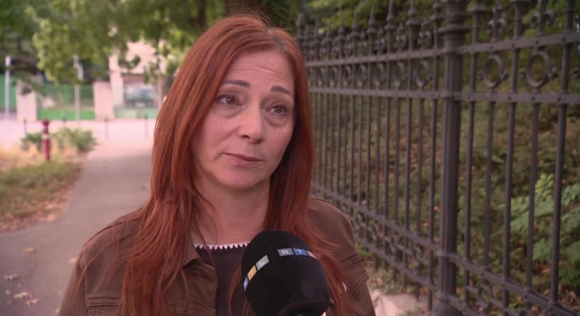 Börtönben marad a lúgos orvos, Renner Erika áldozatvédelmi rendszert szeretne
