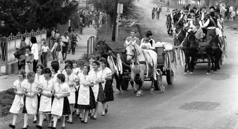 Élő malac volt a fődíj a somogyi faluban: ilyen szüreti mulatságot vétek volna kihagyni ma is