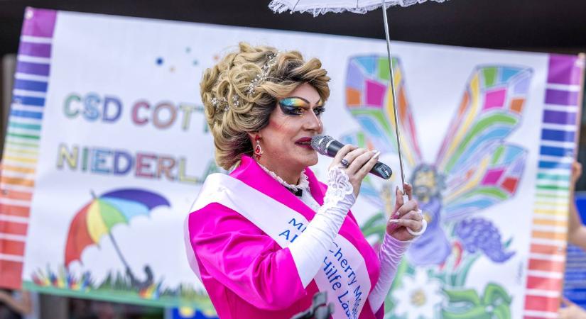 A TV2 reagált a hírre, miszerint megjelenést kínáltak a Drag Queen Hungary-nek