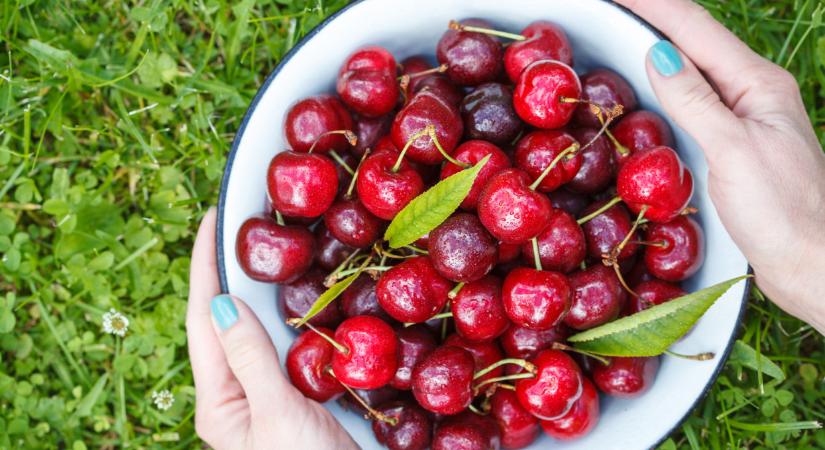 Ömlik a cseresznye a piacokra: durva, honnan érkezik a java