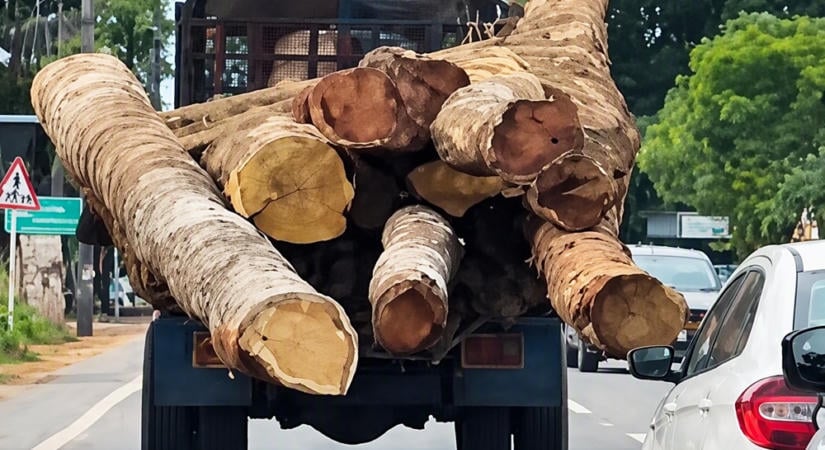 Ettől a látványtól minden autósnak meghűl a vér az ereiben