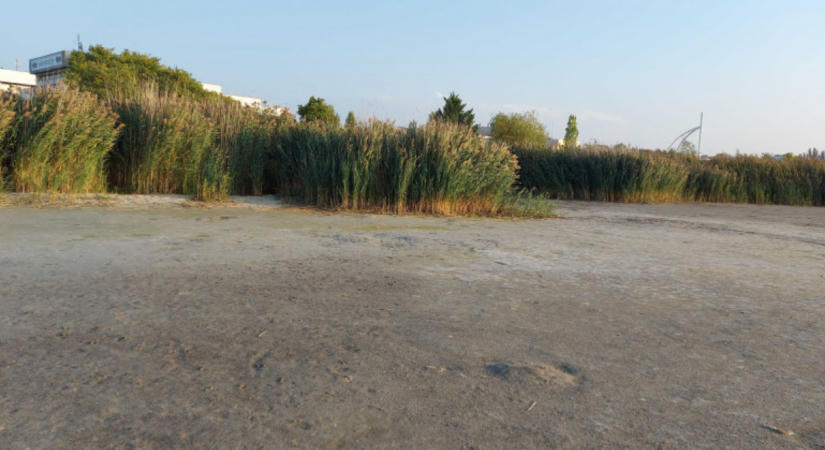 Tragikus a vízhiány a Velencei-tónál: a halállomány 80 százaléka elpusztult
