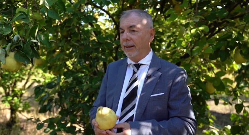 Durva fenyegetéseket kapott a mezőgazdász, aki kiállt a nyilvánosság elé: elmondta, miért kell többet fizetnünk a boltokban a zöldségért, gyümölcsért - videó