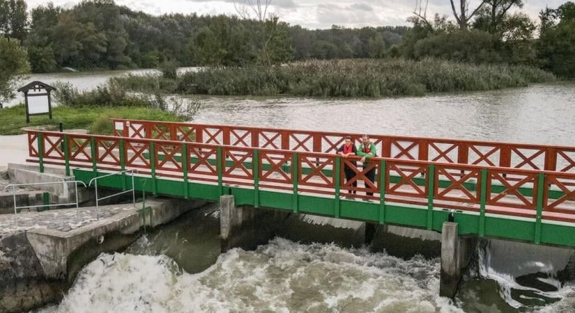 Halak útja a szigetközi vadonban – Különleges kirándulóhely ősszel