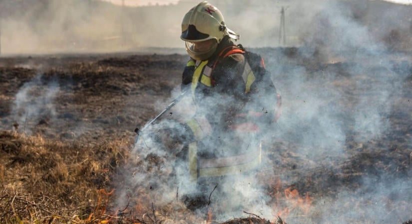 Kerítésen fennakadt őzikét mentettek Parádon