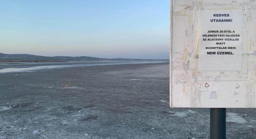 Strand, horgásztó vagy mocsár? El kell dönteni, mi legyen a Velencei-tóból, azután jöhet a víz