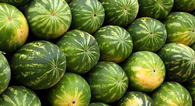 Törökország növeli a görögdinnyeexportot, erős a kínálat az uniós piacon