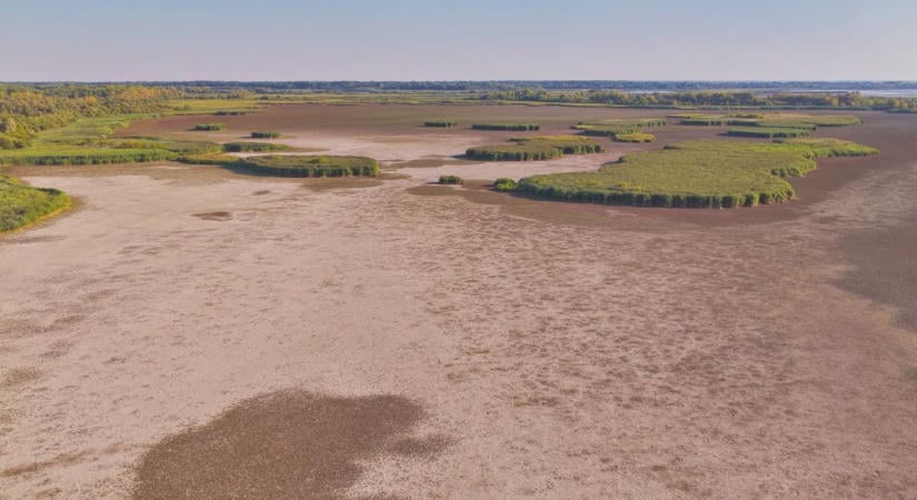 Elég a negatív hírekből: a helyszínen mutatják meg a Tisza-tó valós képét a véleményformálóknak