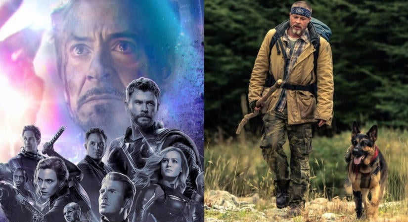 [BOX OFFICE HU] Brad Pitt és a kutyája elcsábították a magyarokat a Bosszúállóktól, az új hazai romkom nélkül viszont egyelőre sokan tudtak élni