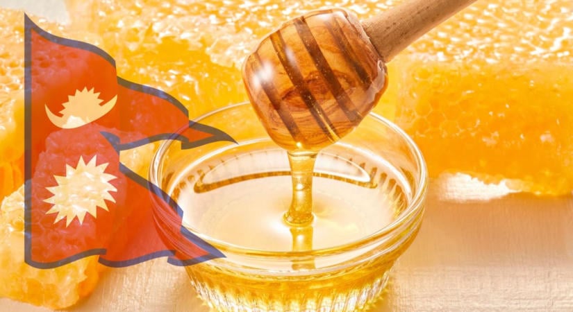 Őrült Méz Nepál: különleges méz a Himalájából