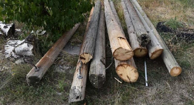 Lezárt nyomozás: kivágta, majd elvitette az oszlopokat