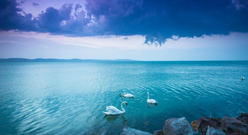 Megdöbbentő dolog történik a Balaton vizével: ezt mindenkinek tudnia kell