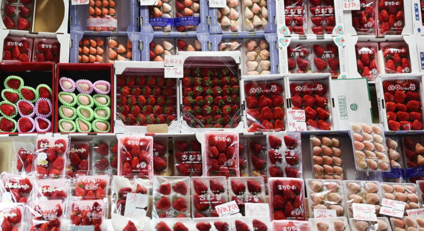 Egy százalékra csökkentik az élelmiszerek és alkoholmentes italok forgalmi adóját Japánban