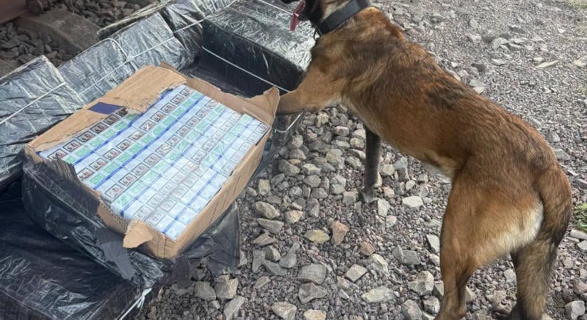 Közel négyezer doboz cigarettát rejtettek el egy vasúti teherkocsiban a szlovák–ukrán határ térségében