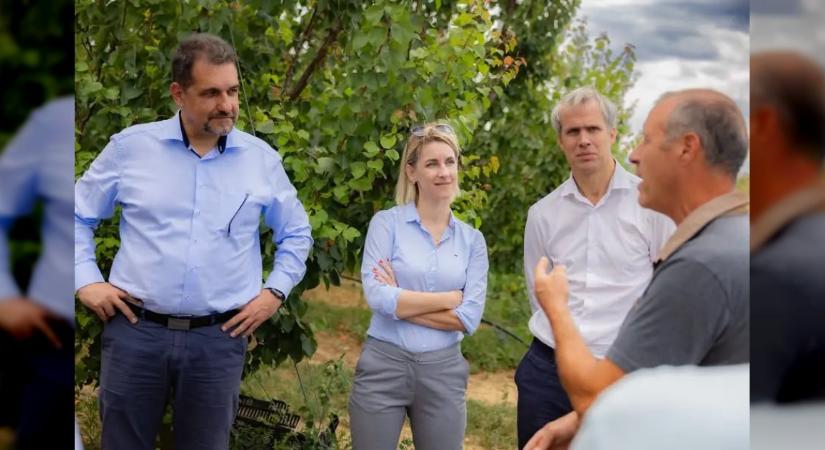 A kisvejkei termelői együttműködés a jövő agráriumának alapköve
