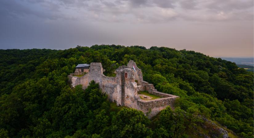 Hihetetlen átalakulás a Balaton közelében: kopár hegyoldalak helyén ma értékes erdők zöldellnek  Videó