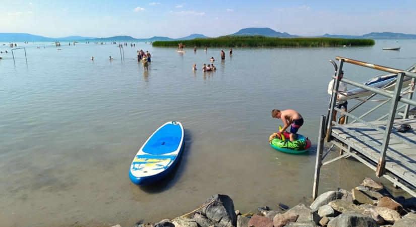 Lelőttek egy hattyút, a nemzeti park megtette a szükséges lépéseket