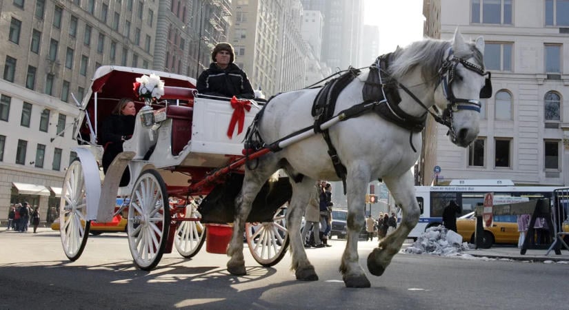 Halálos baleset után tilthatják be New York egyik legismertebb turistalátványosságát
