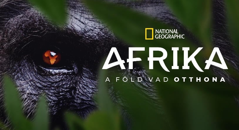 Négy éven át forgatott nagyszabású sorozat érkezik Afrikáról a National Geographic műsorára