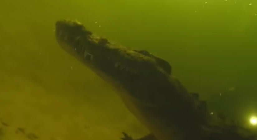 Brutális büntetést jár egy durván hamisított fénykép miatt
