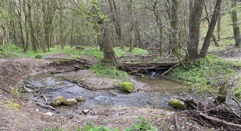 Teljesen kiszáradt a Cuha! – ezzel riogatnak és a helyzet tényleg példátlan