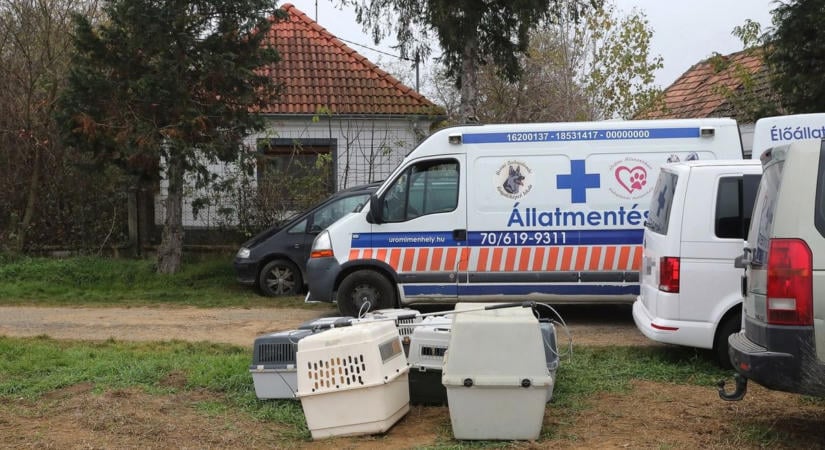 Drámai a helyzetről számoltak be Somogyapátiból, az illetékesek szerint viszont nem nagy ügy