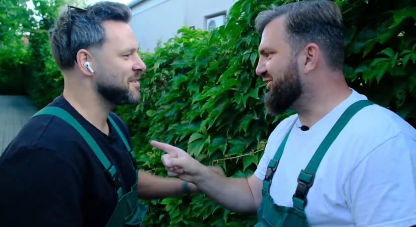 A betonrengeteg zöldebbik oldala – mutatjuk, melyek a legizgalmasabb kapaszkodó növények