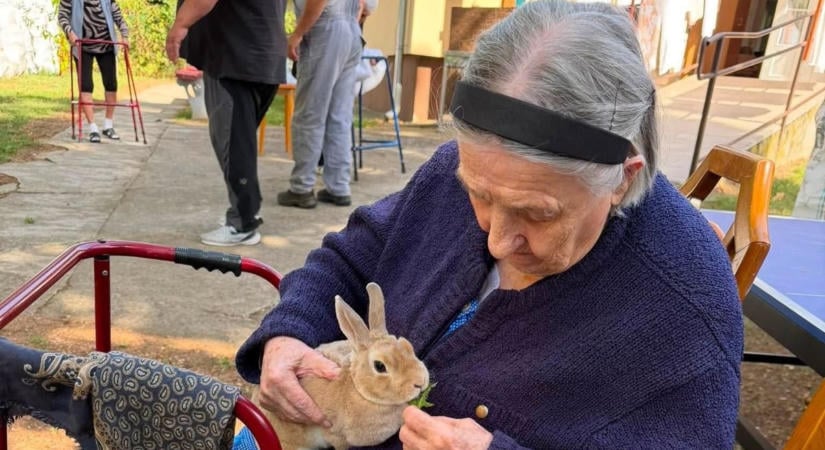 Októberben az egész megye a szépkorúkat ünnepli