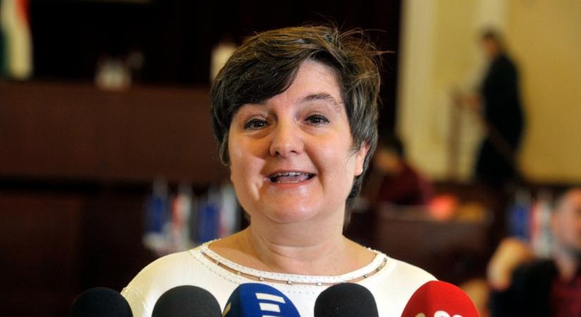 Fidesz: Működésképtelenné vált a Budavári Önkormányzat