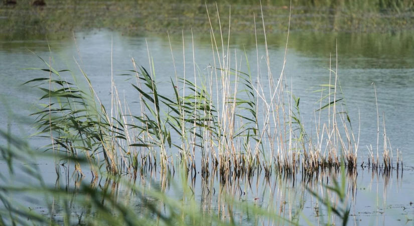 Hosszú apadás után megállt a Balaton vízszintjének csökkenése