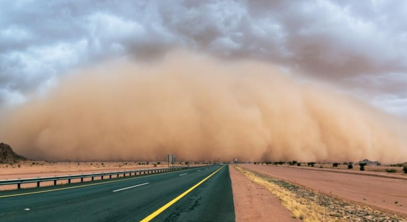 Az El Niño miatt világszerte drágulhatnak az élelmiszerek