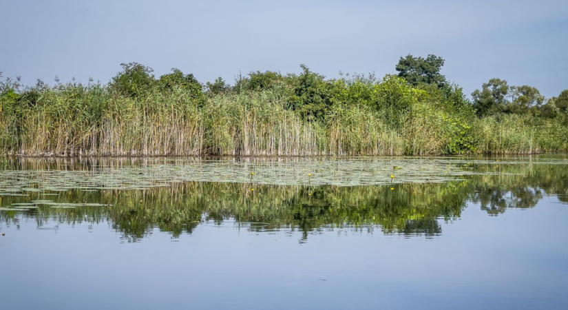 Kritikus szint alá csökkenhet a Tisza-tó vízszintje, komoly veszély alakult ki
