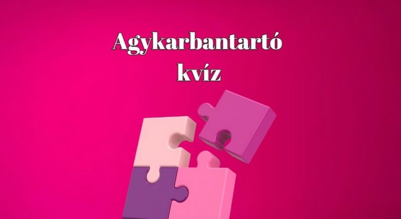Zseniális zsenimágnes - Sokan 7 jó válasznál többet nem adnak ezekre a kérdésekre