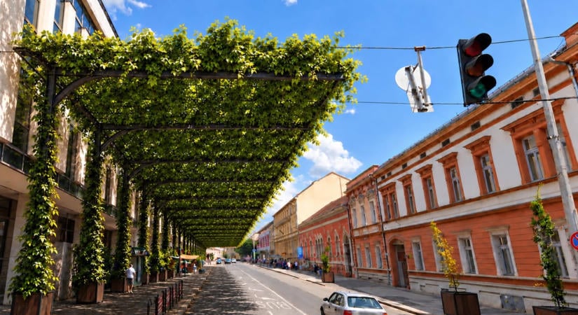 Zöld lugas adhatna árnyékot a Konzum előtt Pécsen