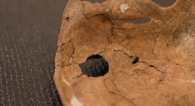 Fából készült dárda végzett egy iraki neandervölgyi emberrel