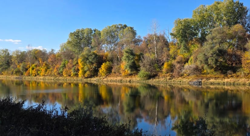 Martfű, ahol a Tisza kanyarulata különleges tájat formált