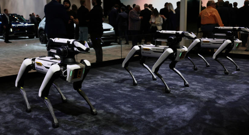 Robotkutyákkal erősít az amerikai bevándorlási hivatal