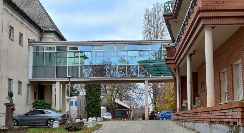 Évtizedekkel a halála után sem felejtették el a makói orvost, most különleges ötlettel álltak elő