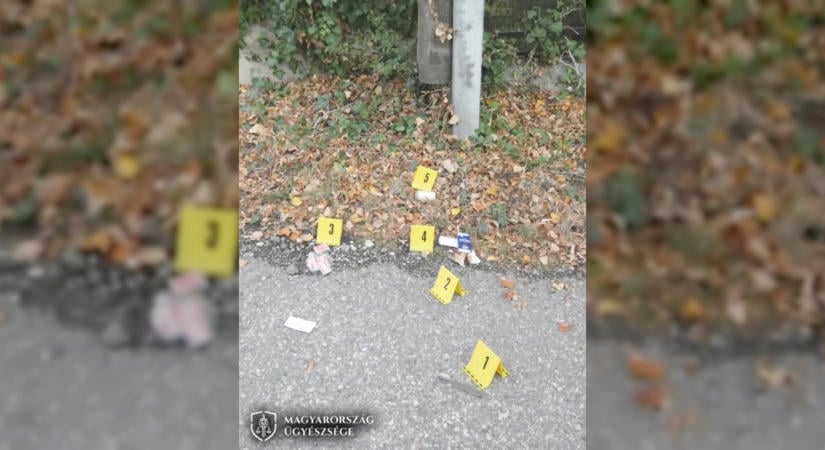 Letartóztatását indítványozta az ügyészség a szentendrei gyújtogatással gyanúsított férfinak