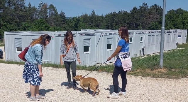 EBRENDÉSZET, ÁLLATMENHELY, ÁLLATKERT – Kérdések válaszok nélkül