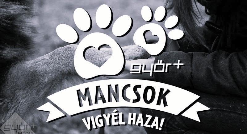 Búcsúzik a Győr Mancsok is