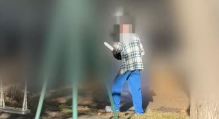 Idegesítette a fűnyírás, ezért láncfűrésszel vette üldözőbe szomszédját egy 74 éves egri férfi