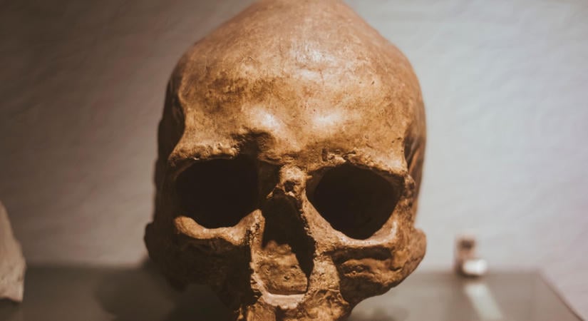 Így nézett ki az ember 315 ezer évvel ezelőtt: rekonstruálták a legősibb Homo sapienst – fotó