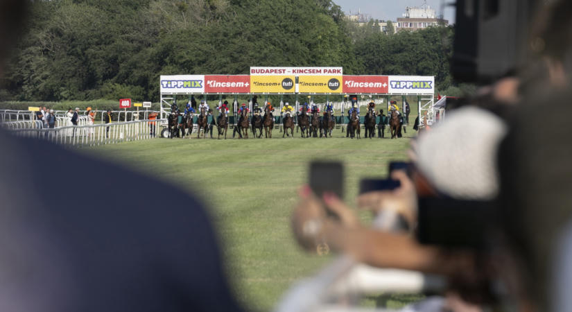 A nézők előtt altattak el egy lovat a Kincsem Parkban