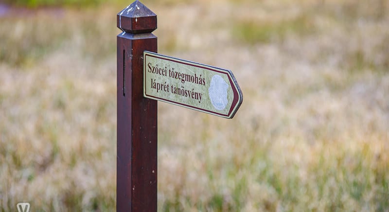 Teljesen újjáépítik a szőcei Tőzegmohás láprét tanösvény pallósorát és megújul a környezete is