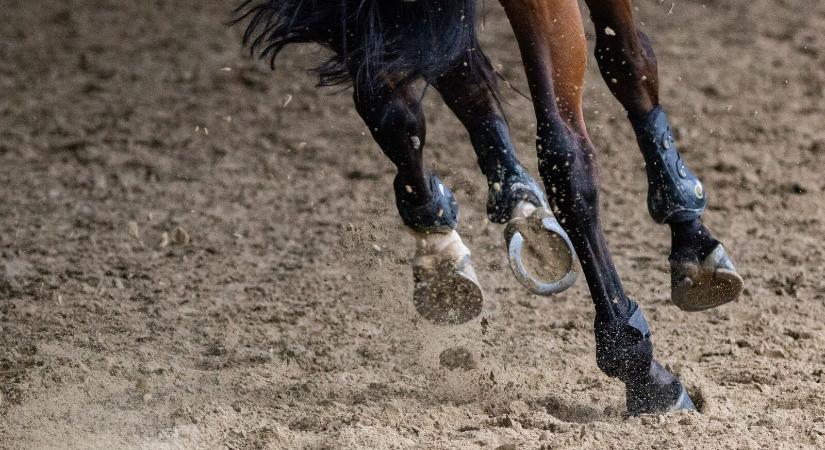 Az olimpiai szereplés a hosszútávú célja a magyar díjugratóknak