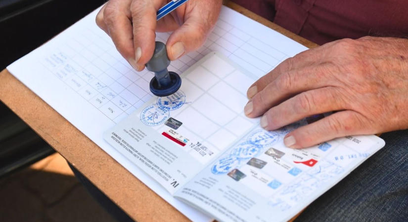 Kiskutyák tömegeinek forog veszélyben az élete hamis oltások miatt