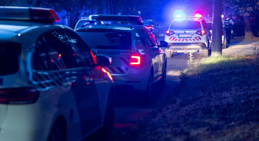 Idős házaspár otthonába tört be és dulakodni kezdett a tatabányai Bonnie és Clyde