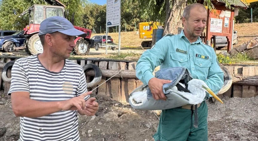 Hóna alatt egy kócsaggal sétált be a horgász a tiszaderzsi kikötőbe